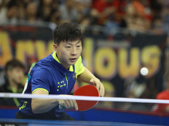 尼亚对比哈 尼亚对比哈